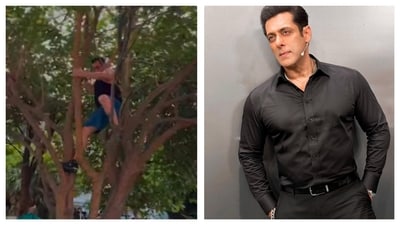 Salman Khan showcased his agility and strength while climbing a tree. (Instagram) Salman Khan showcased his agility and strength while climbing a tree. (Instagram)
