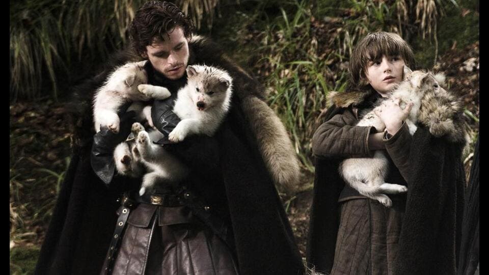 Researchers at Colossal Biosciences brought back the Game of Thrones direwolves from extinction.