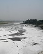 Capital and technology for this solution are readily available, and now, so is the political drive. Given these drivers, the river water ought to achieve bathing quality in the near future. (Sunil Ghosh / Hindustan Times)