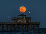 The Pink Moon will be visible in the night sky on April 12 The Pink Moon will be visible in the night sky on April 12