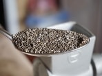 Doctor warns of risks from improperly consumed chia seeds. Doctor warns of risks from improperly consumed chia seeds.