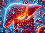 Incorporate these dietary and lifestyle patterns to support liver health. Incorporate these dietary and lifestyle patterns to support liver health.