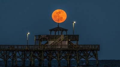 The Pink Moon will be visible in the night sky on April 12 (X - @EdPiotrowski) The Pink Moon will be visible in the night sky on April 12 (X - @EdPiotrowski)
