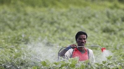 The ID will enable them to access government schemes, subsidies, crop insurance and land records easily (credit: HT Archives) The ID will enable them to access government schemes, subsidies, crop insurance and land records easily (credit: HT Archives)