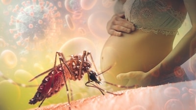 Malaria during pregnancy can cause health complications for both mother and child. (Shutterstock) Malaria during pregnancy can cause health complications for both mother and child. (Shutterstock)