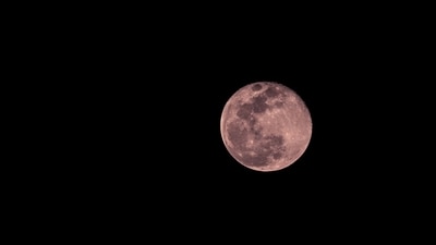 The Super Pink Moon, peaking on April 12, 2025, promises a stunning sight for skywatchers. (Representational Image- Unsplash ) The Super Pink Moon, peaking on April 12, 2025, promises a stunning sight for skywatchers. (Representational Image- Unsplash )