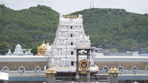 The Tirumala Tirupati Devasthanams (TTD) that runs Lord Venkateshwara temple in Andhra Pradesh’s Tirupati district has made cow an integral part of the life on the sacred Tirumala hills. (Nikhil B/Wikimedia Commons) The Tirumala Tirupati Devasthanams (TTD) that runs Lord Venkateshwara temple in Andhra Pradesh’s Tirupati district has made cow an integral part of the life on the sacred Tirumala hills. (Nikhil B/Wikimedia Commons)