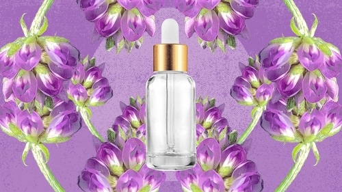 Anti-ageing effects to even complexion: Bakuchiol benefits in skincare and makeup (Image by iStock) Anti-ageing effects to even complexion: Bakuchiol benefits in skincare and makeup (Image by iStock)