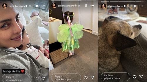 Taking to her Instagram Stories, Priyanka posted some adorable pictures. Taking to her Instagram Stories, Priyanka posted some adorable pictures.