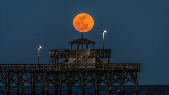 The Pink Moon will be visible in the night sky on April 12 (X - @EdPiotrowski)