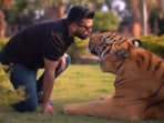 A Pakistani man Nouman Hassan went viral after kissing a chained tiger in a video.