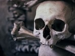 According to the website, two human skulls were priced at $90 According to the website, two human skulls were priced at $90