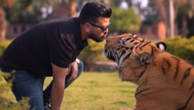 A Pakistani man Nouman Hassan went viral after kissing a chained tiger in a video. (Instagram/Nouman Hassan) A Pakistani man Nouman Hassan went viral after kissing a chained tiger in a video. (Instagram/Nouman Hassan)