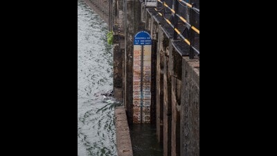 The increasing number of unauthorised structures, including cattle sheds, car washing units, and even religious establishments, is seen as a direct threat to the canal’s stability. (HT) The increasing number of unauthorised structures, including cattle sheds, car washing units, and even religious establishments, is seen as a direct threat to the canal’s stability. (HT)