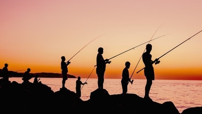US environmentalists are suggesting Anglers cut off the head of any fish that resembles a predator and has the ability to breathe air. (Pixabay) US environmentalists are suggesting Anglers cut off the head of any fish that resembles a predator and has the ability to breathe air. (Pixabay)