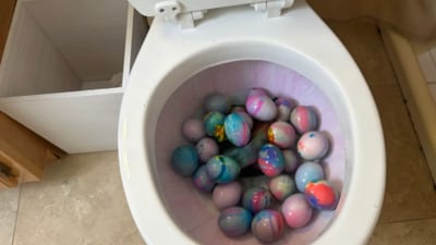 The video drew swift backlash, with many criticising the egg-dyeing method as bizarre and unsanitary. (Instagram/@katewilltryanything) The video drew swift backlash, with many criticising the egg-dyeing method as bizarre and unsanitary. (Instagram/@katewilltryanything)