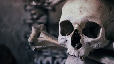 According to the website, two human skulls were priced at $90 (Representational) According to the website, two human skulls were priced at $90 (Representational)