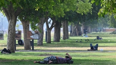 People resting under tree shade at Kartavya Path lawns in the afternoon in Delhi on Saturday, April 12. (Vipin Kumar/ Hindustan Times) People resting under tree shade at Kartavya Path lawns in the afternoon in Delhi on Saturday, April 12. (Vipin Kumar/ Hindustan Times)