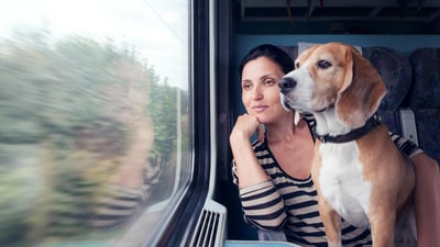 Traveling with pets on trains can be exciting but you need to prepare beforehand. (Shutterstock) Traveling with pets on trains can be exciting but you need to prepare beforehand. (Shutterstock)