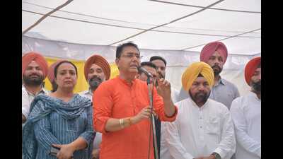 AAP Punjab president Aman Arora along with cabinet ministers Dr Balbir Singh and Dr Ravjot Singh, demanded accountability from Bajwa during protest in Mohali on Tuesday.