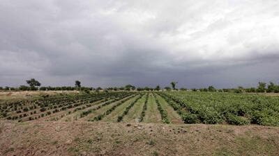 Farmers from the villages of Khanwadi, Kumbharvalan, Vanpuri, Udachiwadi, Ekhatpur, Munjawadi and Pargaon boycotted the meetings organised by the district administration. (HT) Farmers from the villages of Khanwadi, Kumbharvalan, Vanpuri, Udachiwadi, Ekhatpur, Munjawadi and Pargaon boycotted the meetings organised by the district administration. (HT)