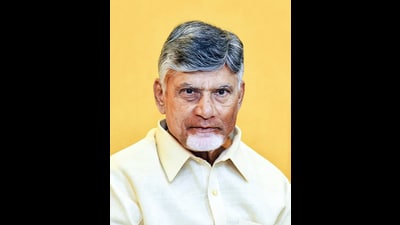 N Chandrababu Naidu N Chandrababu Naidu