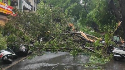 Gusty winds and showers lashed several localities, particularly in the western corridors, including Yeshwantpur, Mahalakshmi Layout, and Nandini Layout. (Representational Image) Gusty winds and showers lashed several localities, particularly in the western corridors, including Yeshwantpur, Mahalakshmi Layout, and Nandini Layout. (Representational Image)