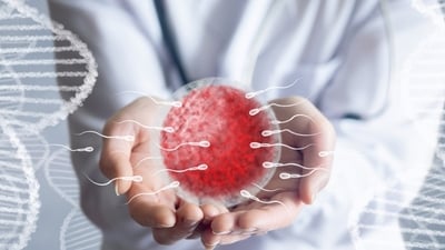 For the first time, sperms will be racing towards the finish line. (Shutterstock) For the first time, sperms will be racing towards the finish line. (Shutterstock)