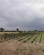 Farmers from the villages of Khanwadi, Kumbharvalan, Vanpuri, Udachiwadi, Ekhatpur, Munjawadi and Pargaon boycotted the meetings organised by the district administration. (HT) Farmers from the villages of Khanwadi, Kumbharvalan, Vanpuri, Udachiwadi, Ekhatpur, Munjawadi and Pargaon boycotted the meetings organised by the district administration. (HT)