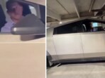 In a viral video, Perry Greene can be seen verbally abusing the three women.
