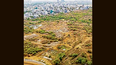 Excavators being used by the Telangana Government to clear the debris of the deforestation after the Supreme Court halted the felling of trees in 400 acres of forested land in the Kancha Gachibowli area, in Hyderabad, Friday, on April 4. (PTI) Excavators being used by the Telangana Government to clear the debris of the deforestation after the Supreme Court halted the felling of trees in 400 acres of forested land in the Kancha Gachibowli area, in Hyderabad, Friday, on April 4. (PTI)