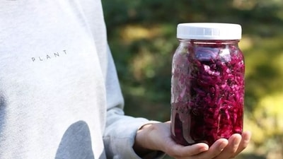 New study says sauerkraut does more than add tang, it could fight gut inflammation. (Image by ACTIVE VEGETARIAN) New study says sauerkraut does more than add tang, it could fight gut inflammation. (Image by ACTIVE VEGETARIAN)