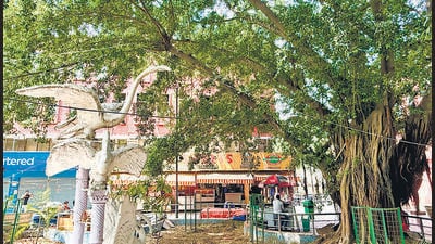The tree stands across the lane from Nathu Sweets in New Friends Colony Community market. (HT Photo) The tree stands across the lane from Nathu Sweets in New Friends Colony Community market. (HT Photo)