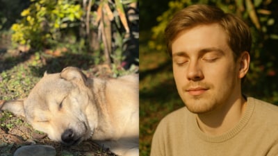 Social media users are increasingly utilizing ChatGPT to transform their pets into human versions. (File Image/Tuhin Das Mahapatra/ChatGpt) Social media users are increasingly utilizing ChatGPT to transform their pets into human versions. (File Image/Tuhin Das Mahapatra/ChatGpt)