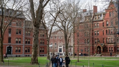 How Harvard Ended Up Leading the University Fight Against Trump