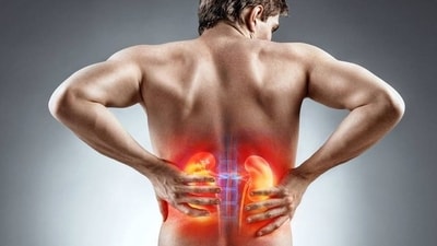 9 shocking kidney myths that are risking your life—busted by a top doctor! (Image by Sunwarrior) 9 shocking kidney myths that are risking your life—busted by a top doctor! (Image by Sunwarrior)