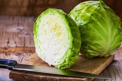 Cabbage helps in reducing inflammation and boosts digestion. It is also a great source of vitamins, fiber and folates. (Unsplash) Cabbage helps in reducing inflammation and boosts digestion. It is also a great source of vitamins, fiber and folates. (Unsplash)