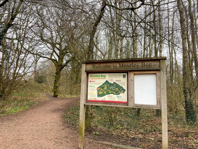 Moseley Bog was the inspiration behind the mysterious Old Forest, haunt of the ageless Tom Bombadil. (Visit Birmingham) Moseley Bog was the inspiration behind the mysterious Old Forest, haunt of the ageless Tom Bombadil. (Visit Birmingham)
