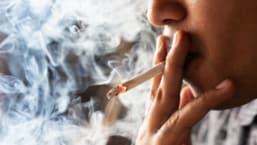 does smoking menthol cigarettes cause infertility in Males? Fertility Facts: Smoking and Male
