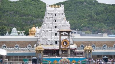 Oppn slams TDP govt over cow deaths in TTD sheds Oppn slams TDP govt over cow deaths in TTD sheds