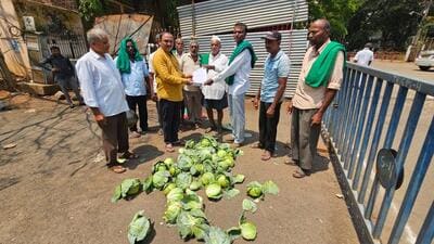 A group of farmers in Belagavi have submitted a memorandum to Belagavi deputy commissioner after the price of the cabbage dropped to 60 paise per kg in the north Karnataka region (HT photo) A group of farmers in Belagavi have submitted a memorandum to Belagavi deputy commissioner after the price of the cabbage dropped to 60 paise per kg in the north Karnataka region (HT photo)