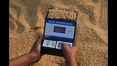 A worker uses digital moisture meter to check quality of wheat at a grain market in Jalandhar. (PTI)