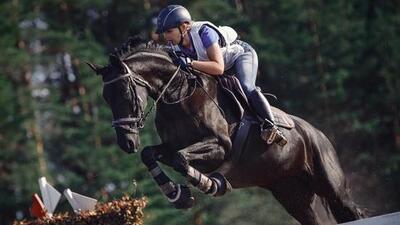 Chandigarh Horse Riders Society participated in Delhi Horse Show with over 400 entries and up to 100 riders competing in each event. (Shutterstock)