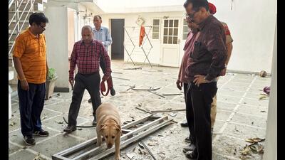 Dog squad at the residence of former Punjab minister and BJP leader Manoranjan Kalia’s after a blast . (ANI File) Dog squad at the residence of former Punjab minister and BJP leader Manoranjan Kalia’s after a blast . (ANI File)