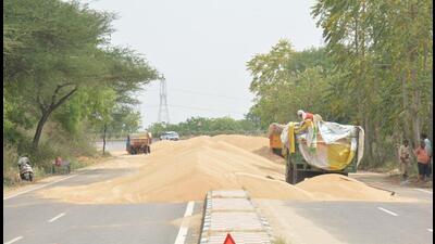 Grain stored on the roadside due to lack of space in Rohtak on Thursday. (Manoj dhaka/ht)