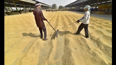 The DC has instructed district heads of procurement agencies to conduct daily visits to mandis to monitor operations. (HT File)