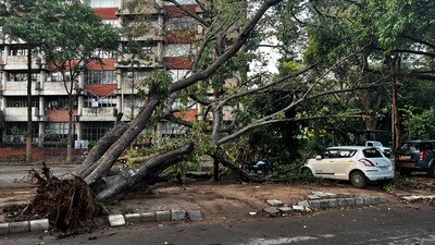 The alert comes just a day after 8.3 mm rain, accompanied by winds going up to 50km/h, was recorded in the city, bringing down trees and branches. (HT) The alert comes just a day after 8.3 mm rain, accompanied by winds going up to 50km/h, was recorded in the city, bringing down trees and branches. (HT)