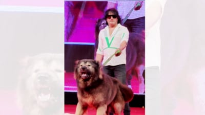 Bengaluru man claimed that he owns world's most expensive dog breed which turned out to be false in ED's scrutiny. Bengaluru man claimed that he owns world's most expensive dog breed which turned out to be false in ED's scrutiny.