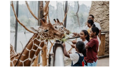 Get ready for the ultimate family getaway in Zurich