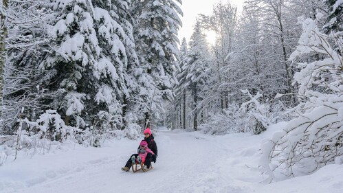 Magical winter in Zurich with Christmas markets, ice rinks, and exciting skiing opportunities nearby. Magical winter in Zurich with Christmas markets, ice rinks, and exciting skiing opportunities nearby.